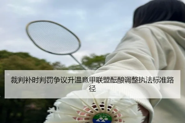 裁判补时判罚争议升温意甲联盟酝酿调整执法标准路径